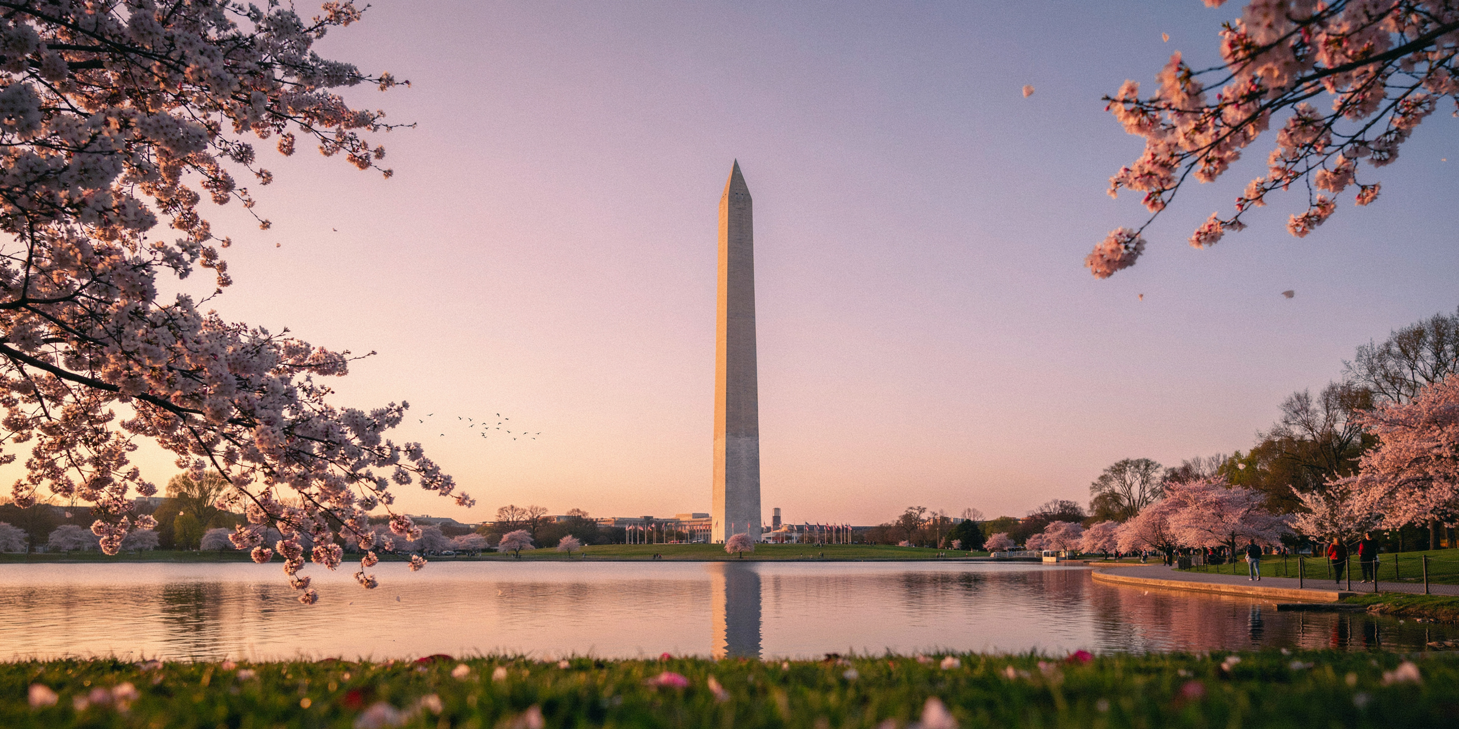 Washington D.C.